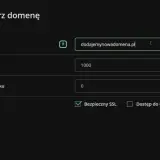 Formularz "Utwórz domenę" pozwala na dodanie nowej domeny, ustawienie transferu, użycia dysku i opcji.