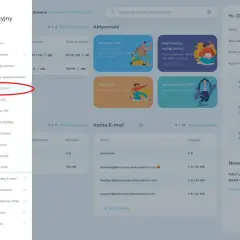 Panel administracyjny, sekcja "Zarządzanie DNS" - kluczowy krok, jak połączyć domenę z hostingiem.