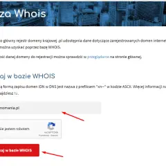 Jak sprawdzić właściciela domeny? Wpisz nazwę domeny w pole wyszukiwania bazy WHOIS i kliknij przycisk "Szukaj w bazie WHOIS".