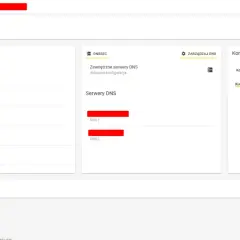 Panel administracyjny domeny. Widok szczegółów domeny, dane billingowe, serwery DNS i kontakty. To jest co to jest delegacja domeny.