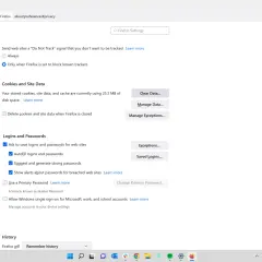 Ustawienia prywatności Firefox. Zobacz, jak wyczyścić pamięć podręczną przeglądarki Firefox, usuwając dane stron i ciasteczka.