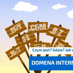 Drewniane tabliczki z nazwami domen (.com, .net, .org) i pytanie "Czym jest domena internetowa?". Ptak leci na tle nieba.