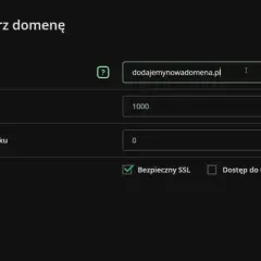 Formularz "Utwórz domenę" pozwala na dodanie nowej domeny, ustawienie transferu, użycia dysku i opcji.