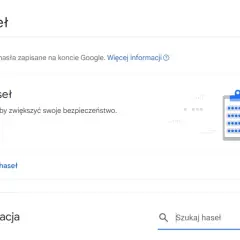 Menedżer haseł Google. Sprawdzanie haseł pomoże ocenić, czy zapisywanie haseł w przeglądarce jest bezpieczne.