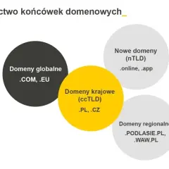 Diagram przedstawia rodzaje domen: globalne (.com, .eu), krajowe (.pl, .cz), nowe (.online, .app) i regionalne (.podlasie.pl, .waw.pl). Gdzie najlepiej rejestracja domen?