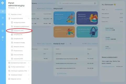 Panel administracyjny, sekcja "Zarządzanie DNS" - kluczowy krok, jak połączyć domenę z hostingiem.
