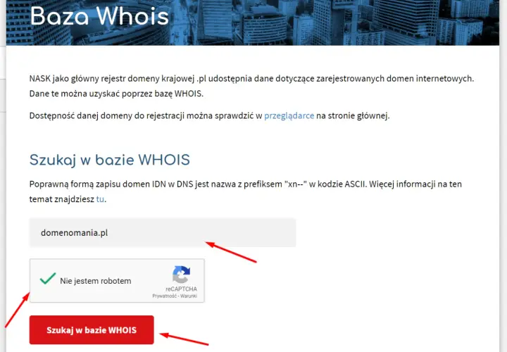 Jak sprawdzić właściciela domeny? Wpisz nazwę domeny w pole wyszukiwania bazy WHOIS i kliknij przycisk "Szukaj w bazie WHOIS".