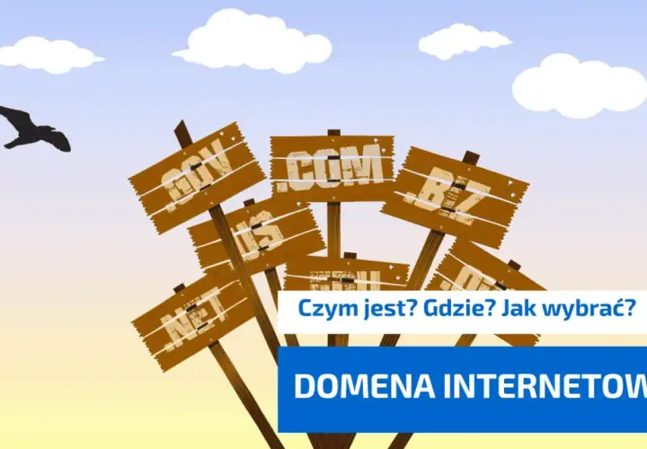 Drewniane tabliczki z nazwami domen (.com, .net, .org) i pytanie "Czym jest domena internetowa?". Ptak leci na tle nieba.