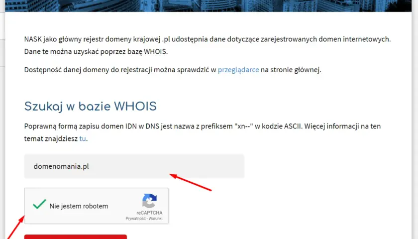 Jak sprawdzić właściciela domeny? Wpisz nazwę domeny w pole wyszukiwania bazy WHOIS i kliknij przycisk "Szukaj w bazie WHOIS".