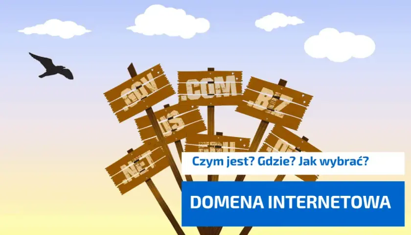 Drewniane tabliczki z nazwami domen (.com, .net, .org) i pytanie "Czym jest domena internetowa?". Ptak leci na tle nieba.