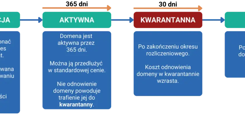 Diagram cyklu życia domeny: rejestracja (1-10 lat), aktywna (365 dni), kwarantanna (po wygaśnięciu, droższa), wolna. Do kiedy domena?