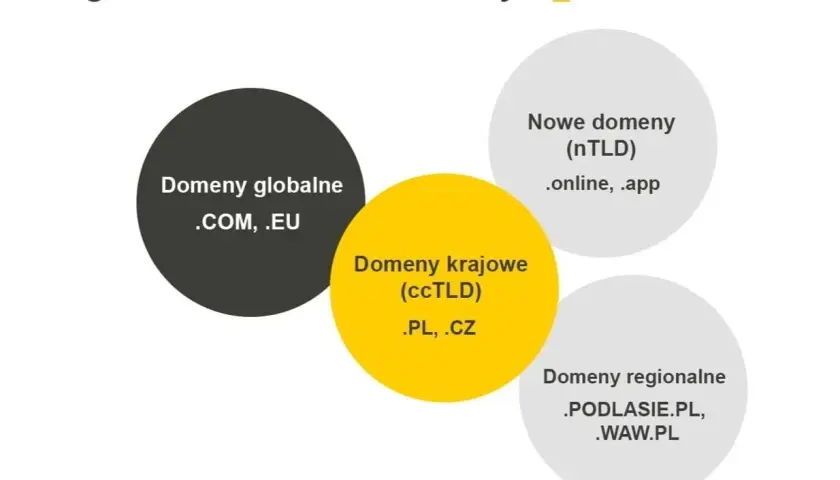 Diagram przedstawia rodzaje domen: globalne (.com, .eu), krajowe (.pl, .cz), nowe (.online, .app) i regionalne (.podlasie.pl, .waw.pl). Gdzie najlepiej rejestracja domen?
