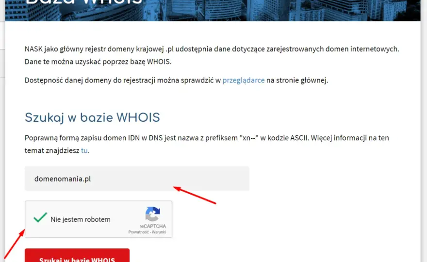 Jak sprawdzić właściciela domeny? Praktyczny przewodnik WHOIS