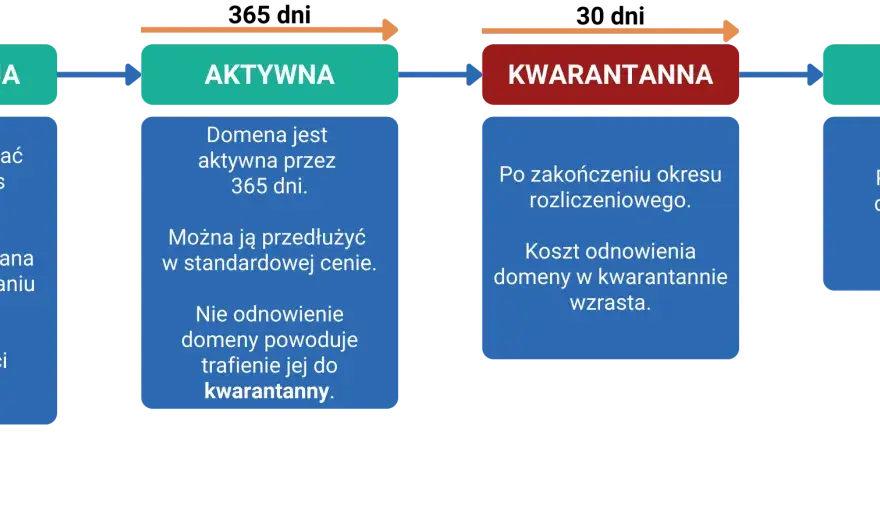 Do kiedy wygasa domena? Sprawdź datę i cykl życia + odzyskiwanie