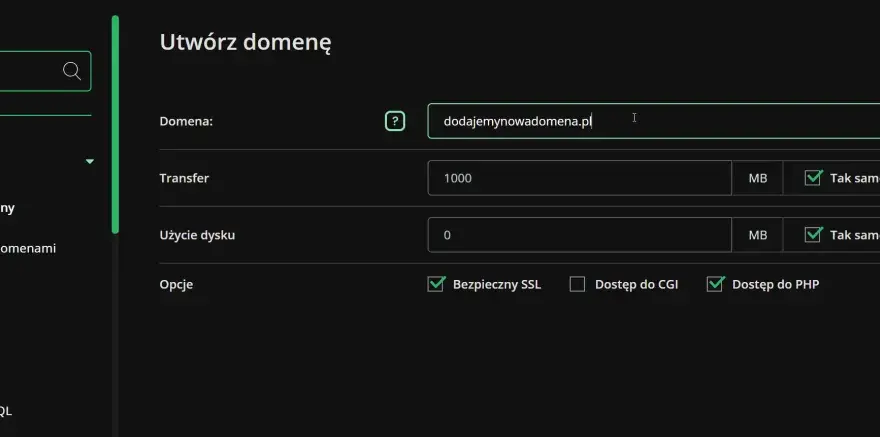 Jak podpiąć domenę do hostingu krok po kroku poradnik
