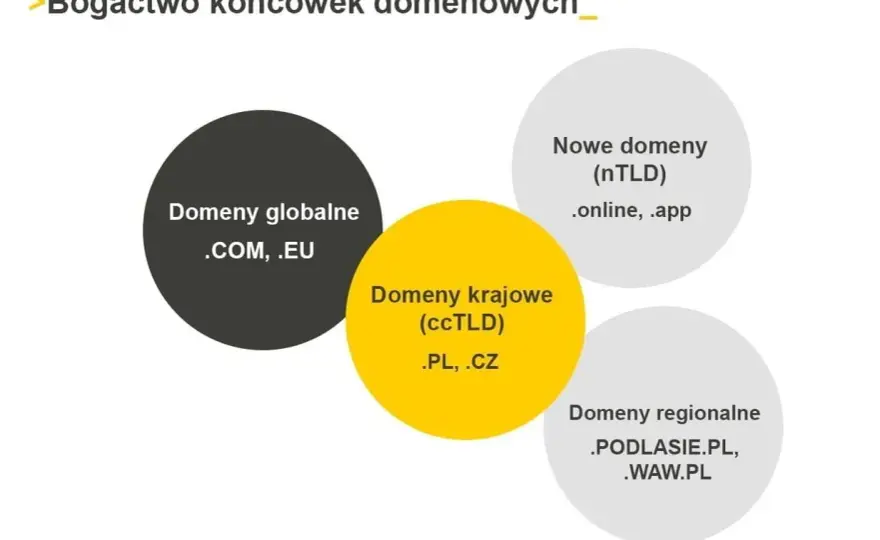 Rejestrator domeny: Jak wybrać mądrze i uniknąć pułapek?
