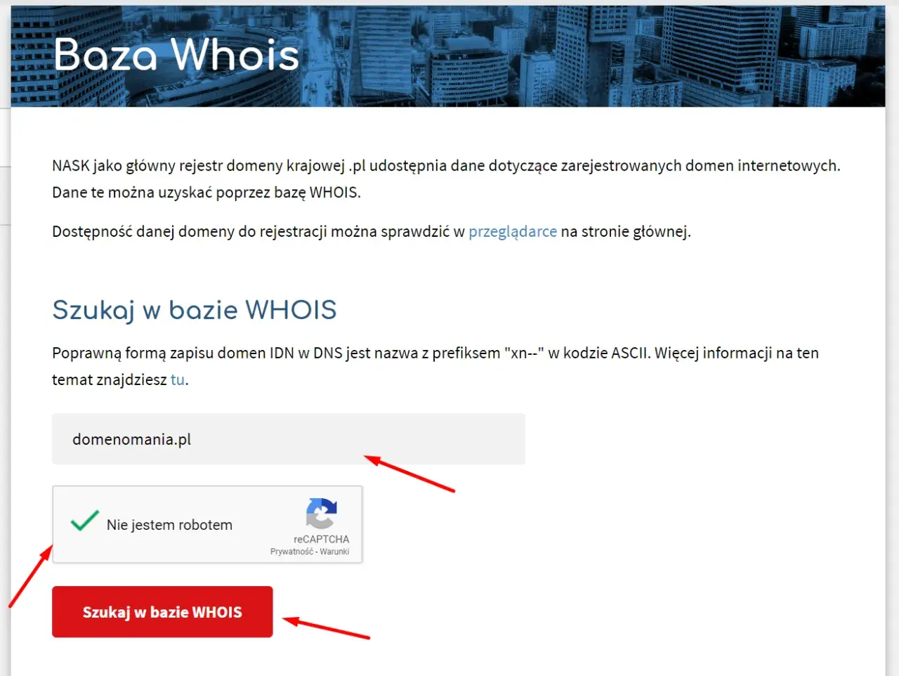 Jak sprawdzić właściciela domeny? Wpisz nazwę domeny w pole wyszukiwania bazy WHOIS i kliknij przycisk "Szukaj w bazie WHOIS".