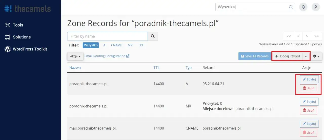 Panel zarządzania rekordami DNS domeny. Widoczne opcje edycji i usuwania wpisów, co jest kluczowe, gdy zastanawiasz się, jak przenieść domenę na inny hosting.