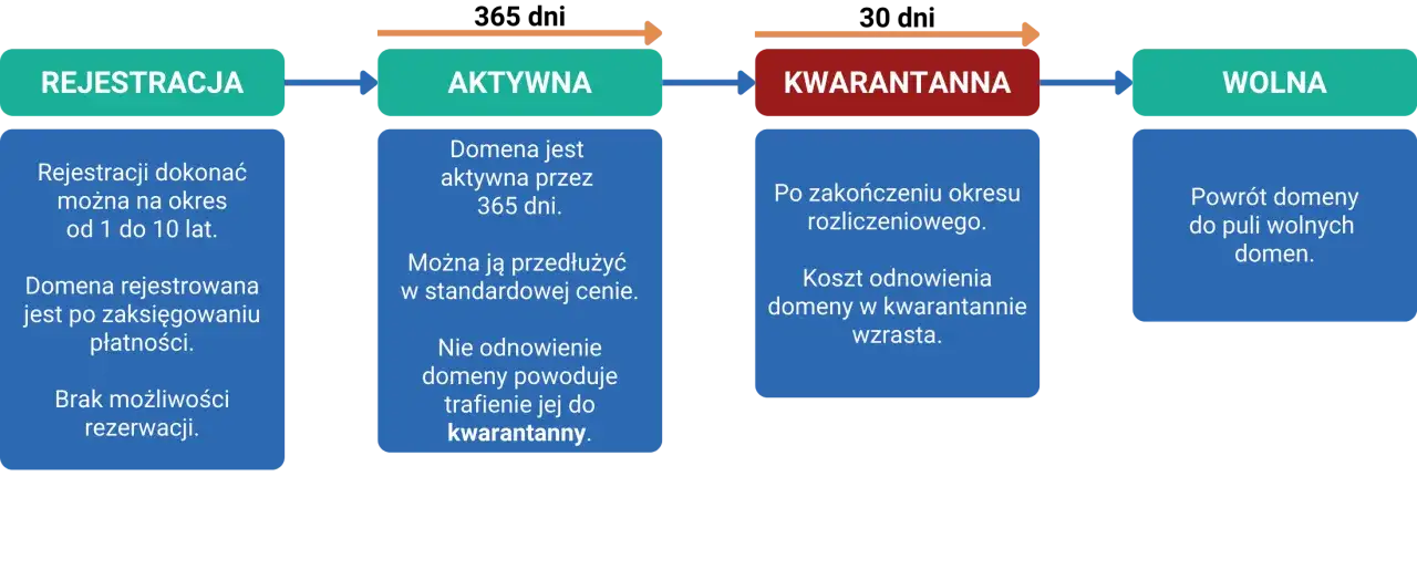 Schemat cyklu życia domeny: rejestracja, aktywna (365 dni), kwarantanna (po wygaśnięciu), wolna. Dowiedz się, co to domeny i jak działają.