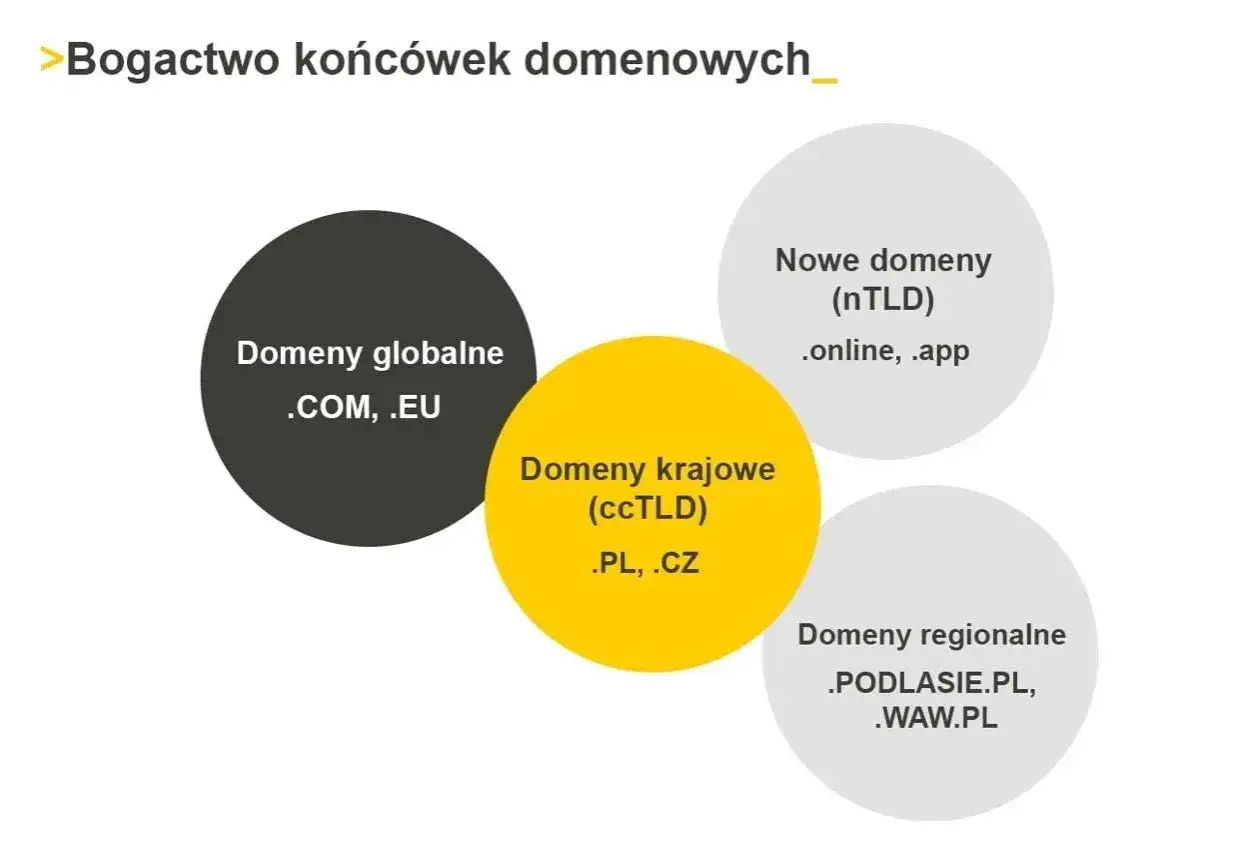 Wybór domeny: globalne (.com, .eu), krajowe (.pl, .cz), nowe (.online, .app) i regionalne (.podlasie.pl, .waw.pl). Gdzie zarejestrować domenę?